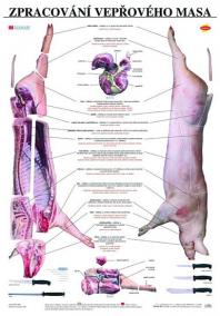 Plakát - Zpracování vepřového masa