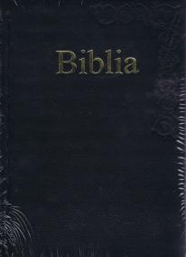 Biblia s rytinami v koži