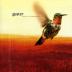 Guster:  Keep It Together (Red)