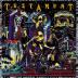 Testament:  Live at the Fillmore (Digi) / Fillmore