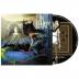 In Flames:  A Sense of Purpose (Reissue)