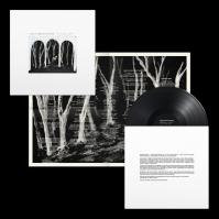 These New Puritans:  Crooked Wing