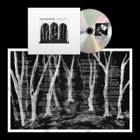 These New Puritans:  Crooked Wing