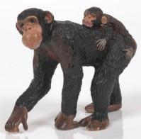 Šimpanz samice a mládě