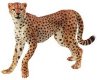 Gepard