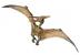 Pteranodon