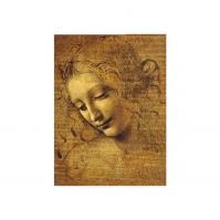 Leonardo da Vinci: Tvář mladé dívky - Puzzle/250 dílků