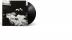 Antony And The Johnsons:  I Am A Bird Now