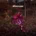 Dinosaur:  Wonder Trail