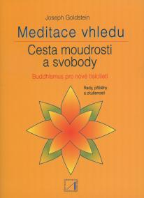 Meditace vhledu