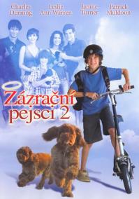 Zázrační pejsci 2 - DVD