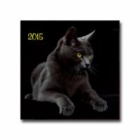 K-Mačky 2015 nástenný N46