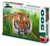 Tygr v trávě - puzzle 500 dílků