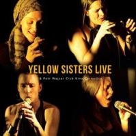 Yellow Sisters Live -amp; Petr Wajsar Club Kino Černošice