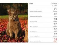 Kalendář 2013 stolní - Kočky se jmény koček Praktik, 16,5 x 13 cm