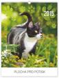 Kočky Praktik - nástěnný kalendář 2015