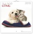 Young Love Koťata & Štěňata - nástěnný kalendář 2015