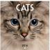 Kalendář nástěnný 2016 - Kočky, poznámkový  30 x 30 cm