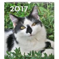 Kalendář nástěnný 2017 - Kočky
