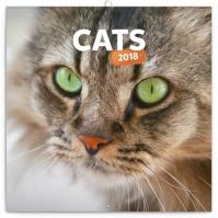 Kalendář poznámkový 2018 - Kočky, 30 x 30 cm