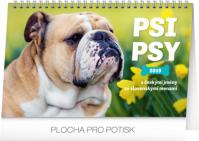 Kalendář stolní 2019  - Psi – Psy CZ/SK, 23,1 x 14,5 cm