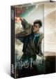 Diář 2020 - Harry Potter - týdenní, magnetický, 11 × 16 cm