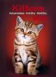 Kalendář nástěnný 2016 - Kočičky - Kittens