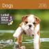 Kalendář nástěnný 2016 - Dogs