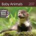 Kalendář nástěnný 2017 - Baby Animals