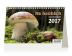 Kalendář stolní 2017 - Na houbách