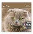 Kalendář nástěnný 2019 - Cats