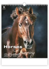 Kalendář nástěnný 2020 - Horses Dreaming