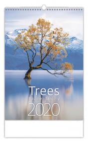 Kalendář nástěnný 2020 - Trees/Baume/Stromy