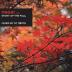 Dj Tiesto:  Magik 2 / Story Of The Fall
