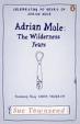 Adrian Mole : The Wilderness Years
