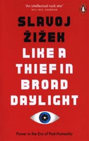 Like A Thief In Broad Daylight: Power in the Era of Post-Human Capitalism