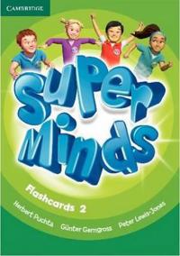 Super Minds 2: Flashcards