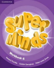 Super Minds 6: Workbook