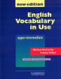 English Vocabulary in Use Upper - intermediate