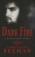 Dark Fire