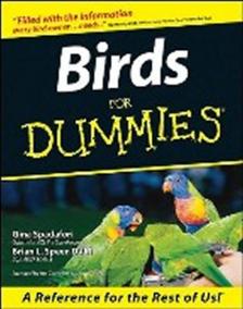 Birds for Dummies