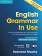 English Grammar in Use 4th edition: Edition with answers and Interactive eBook