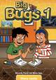 Big Bugs 1: Story Cards