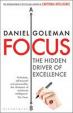 Focus - The Hidden Driver of Excellence