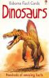 Dinosaurus (Usborne Fact Cards)