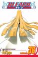 Bleach 26
