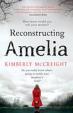 Reconstructing Amelia