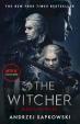 Blood of Elves : Witcher 1