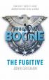 Theodore Boone The Fugitive