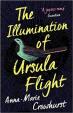 Illumination of Ursula Flight